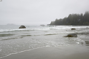 KO B12742 by Kevin Oke