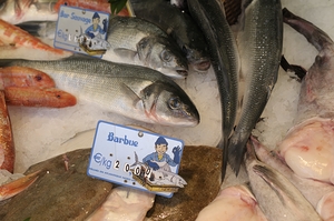 Seafood at the Thursday Market - Boulevard Saint Germain by Kevin Oke