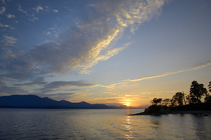 Sunset over Vancouver Island with silhouetted trees by Kevin Oke