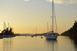 Sea kayaker and anchored boats in Princess Bay by Kevin Oke