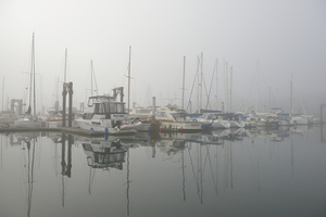 Foggy harbour - San Juan Island by Kevin Oke
