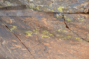 Ancient petroglyphs showcasing animal figures and geometric designs Crane Petroglyph Site Verde Valley Arizona