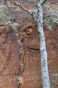 Ancient petroglyphs showcasing animal figures and geometric designs Crane Petroglyph Site Verde Valley Arizona