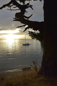 Calm sunset - James Island - San Juan Islands