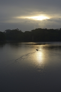 Canoeing on Lake Garzacocha at sunset La Selva Amazon Ecolodge Orellana Ecuador by Kevin Oke