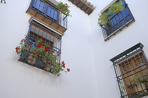 Windows with potted plants  Mondragons Palace Ronda Málaga Andalusia Spain