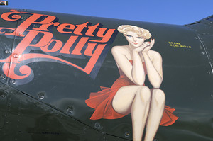 Bell P 63 Kingcobra Palm Springs Air Museum