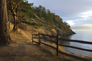 Wood fencing along the cliffs at East Cove by Kevin Oke