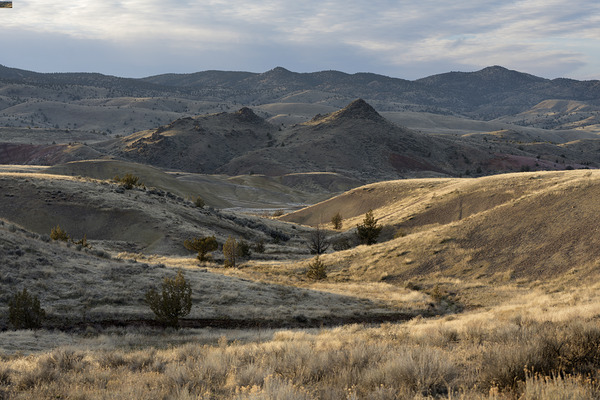 John Day Fossil Beds National Monument Oregon Print