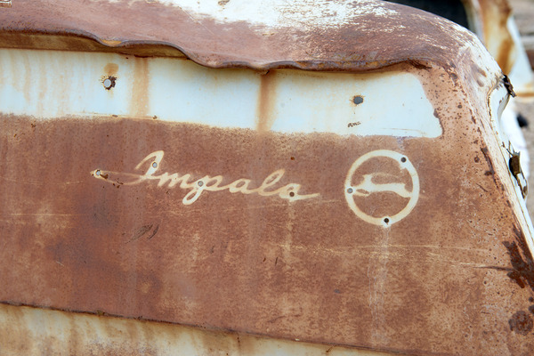 Rhyolite Nevada USA Print