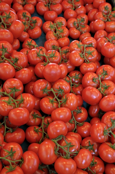 Tomatos at the Thursday Market - Boulevard Saint Germain Print