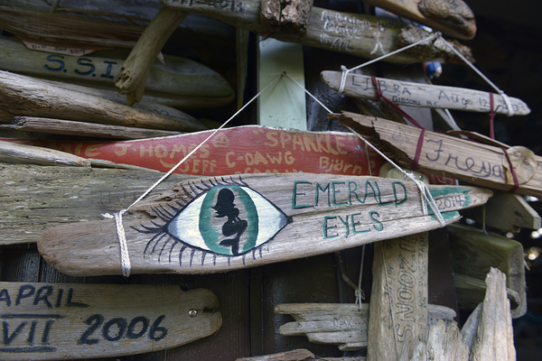 Driftwood sign for Emerald Eyes 2014 Print