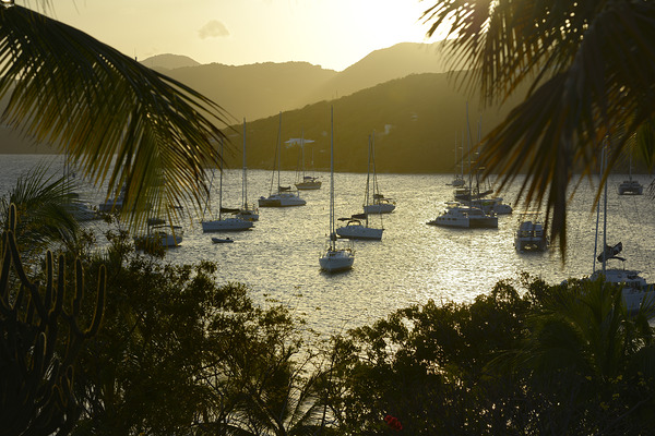 Catamarans and sailboats at the anchorage at Pussers Marina Cay Print