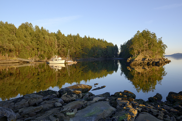 Pleasure boats at the wharf in Conover Cove Print
