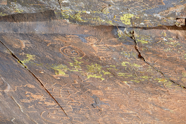 Ancient petroglyphs showcasing animal figures and geometric designs Crane Petroglyph Site Verde Valley Arizona Print