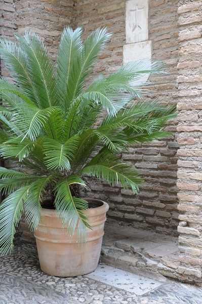 The Alhambra Granada Andalusia Spain Print