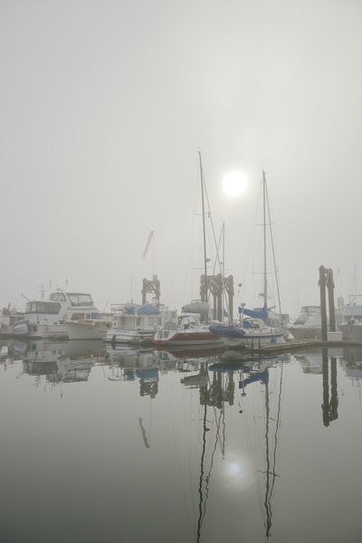Fog in the harbour - San Juan Island Print