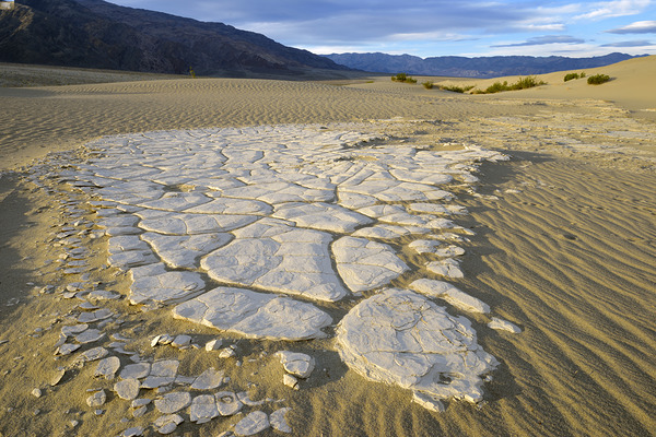 Dried mud exposed on the rippled sand - Mesquite Flat Sand Dunes Print
