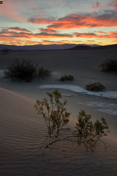 Mesquite Flat Sand Dunes Print