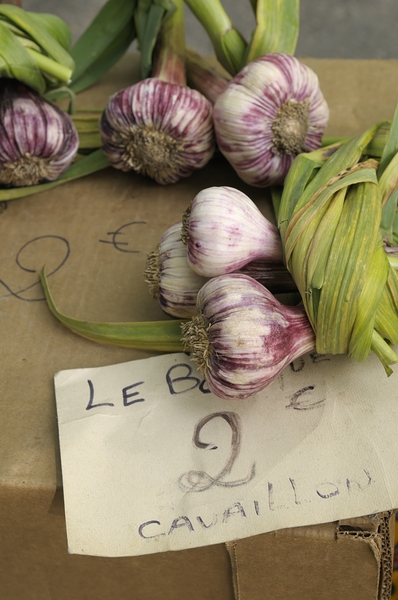 Fresh red garlic at the Lourmarin market Print