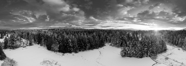 Cowichan Winter - Black & White Print