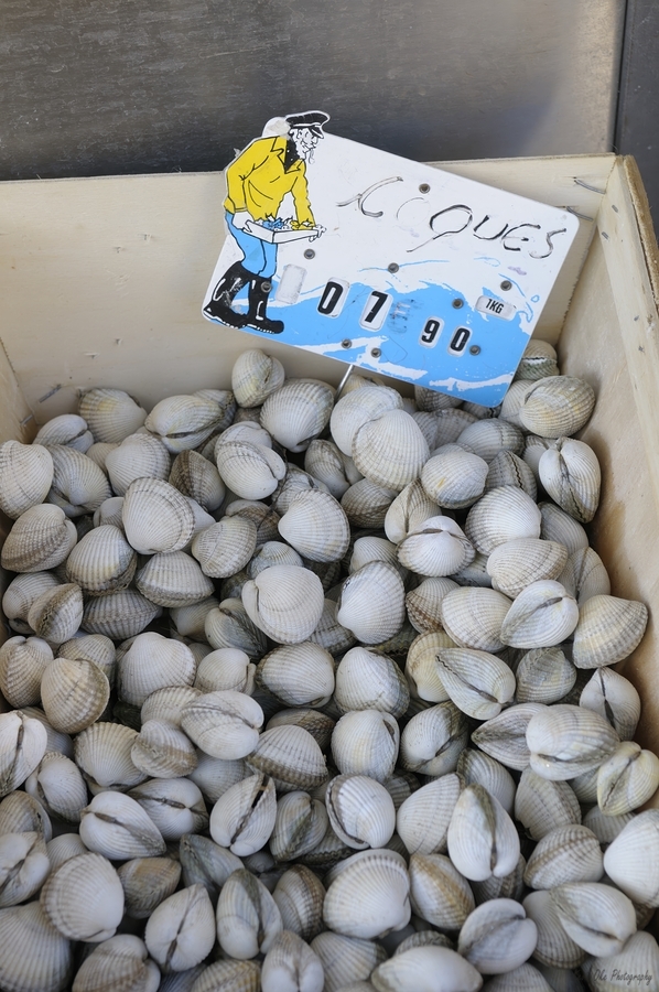 Clams at the Thursday Market - Boulevard Saint Germain -  Paris  Print