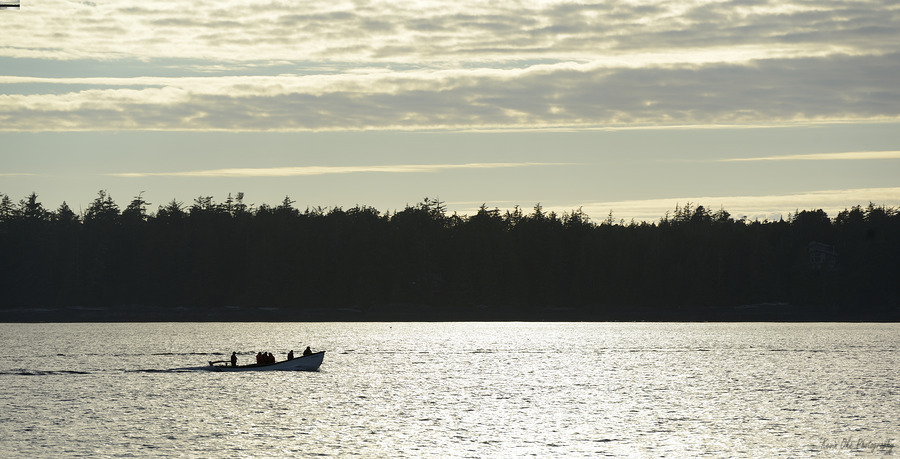 Backlit small boat coming into Tofino  Print