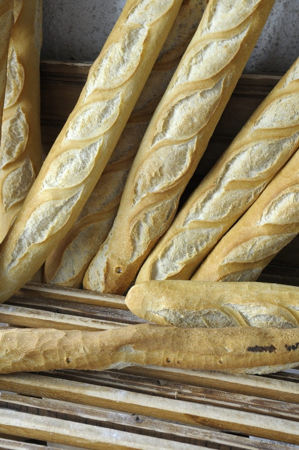 Fresh baguettes for sale  Imprimer