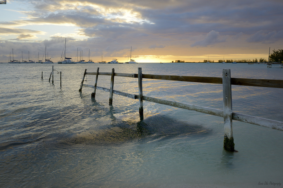 Old fence running into the ocean  Print