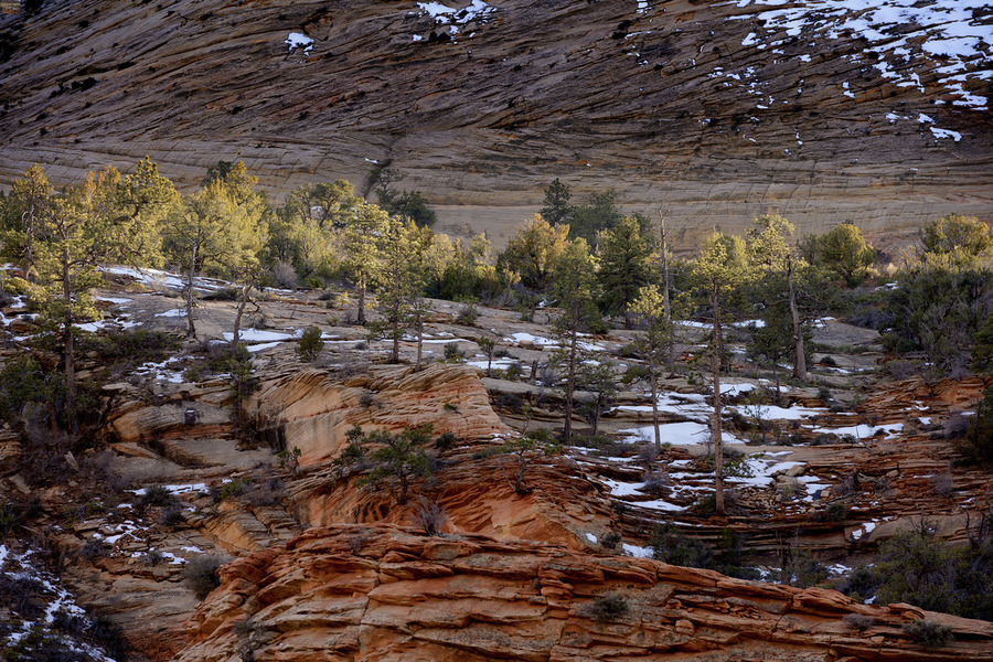 Zion National Park Utah  Print
