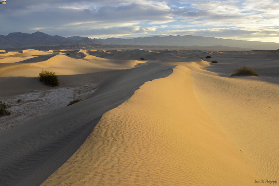 Mesquite Flat Sand Dunes at sunrise  Print