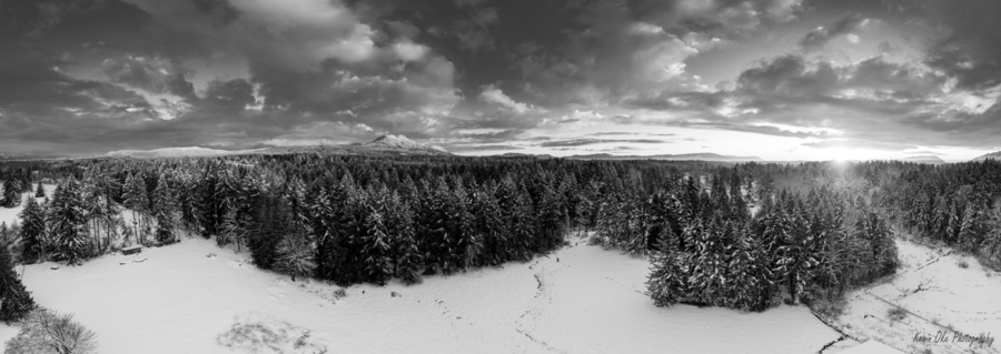 Cowichan Winter - Black & White  Print