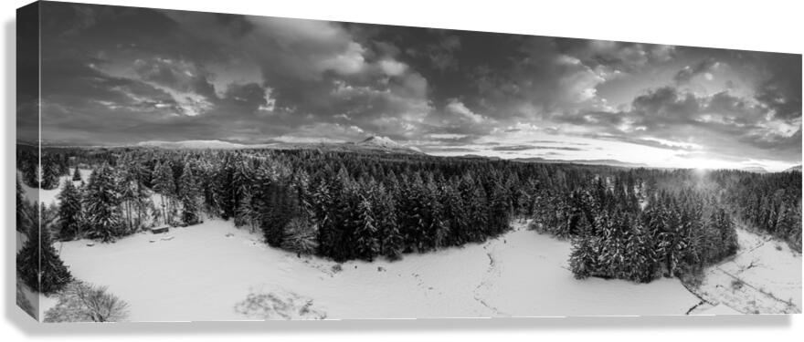 Cowichan Winter - Black & White Canvas Print