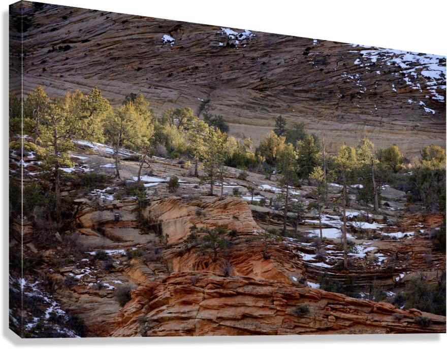 Zion National Park Utah Canvas Print