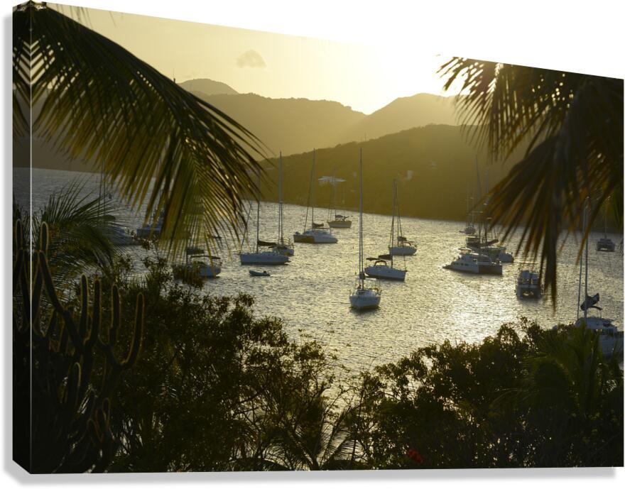 Catamarans and sailboats at the anchorage at Pussers Marina Cay Canvas Print