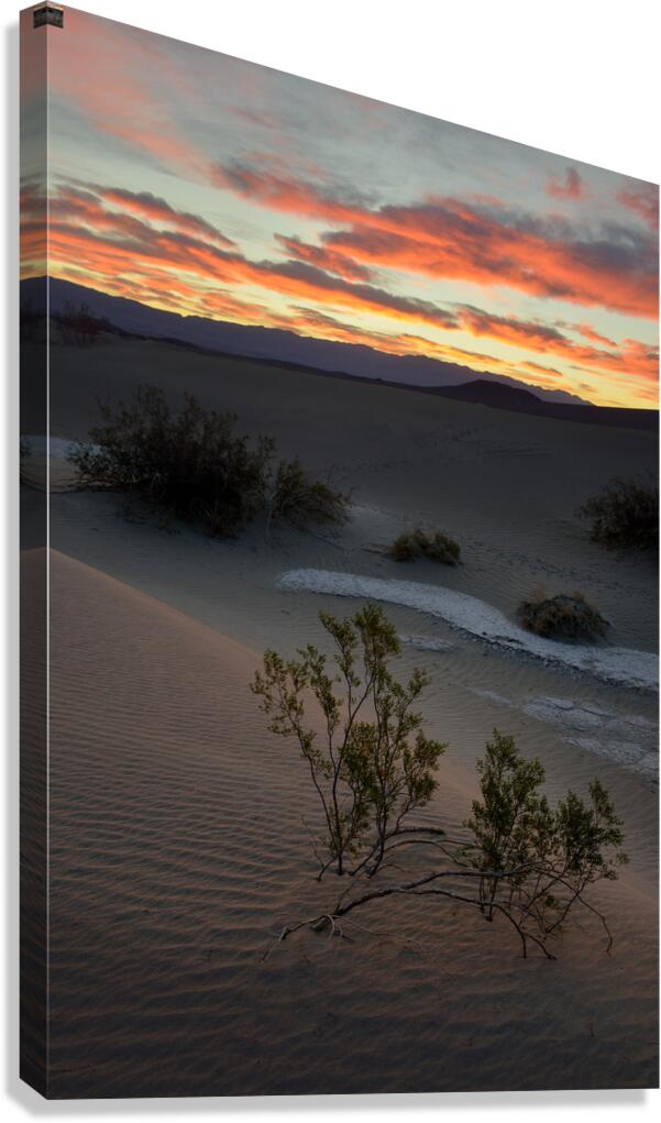 Mesquite Flat Sand Dunes Canvas Print