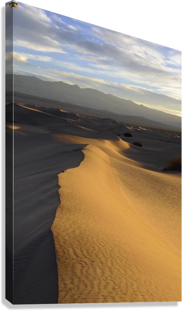 Mesquite Flat Sand Dunes at sunrise Canvas Print