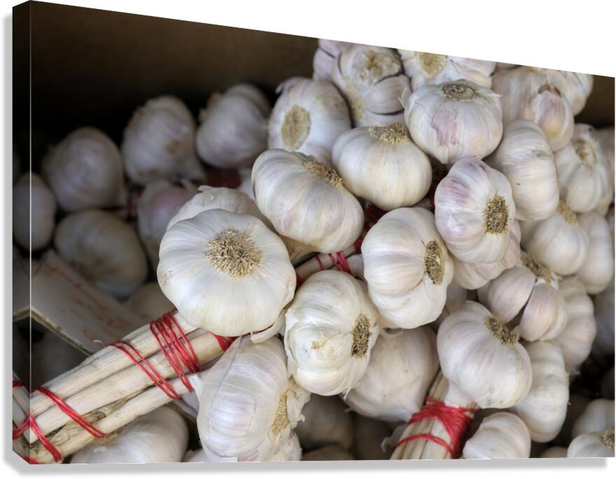 Braided garlic at the Lourmarin street market Canvas Print