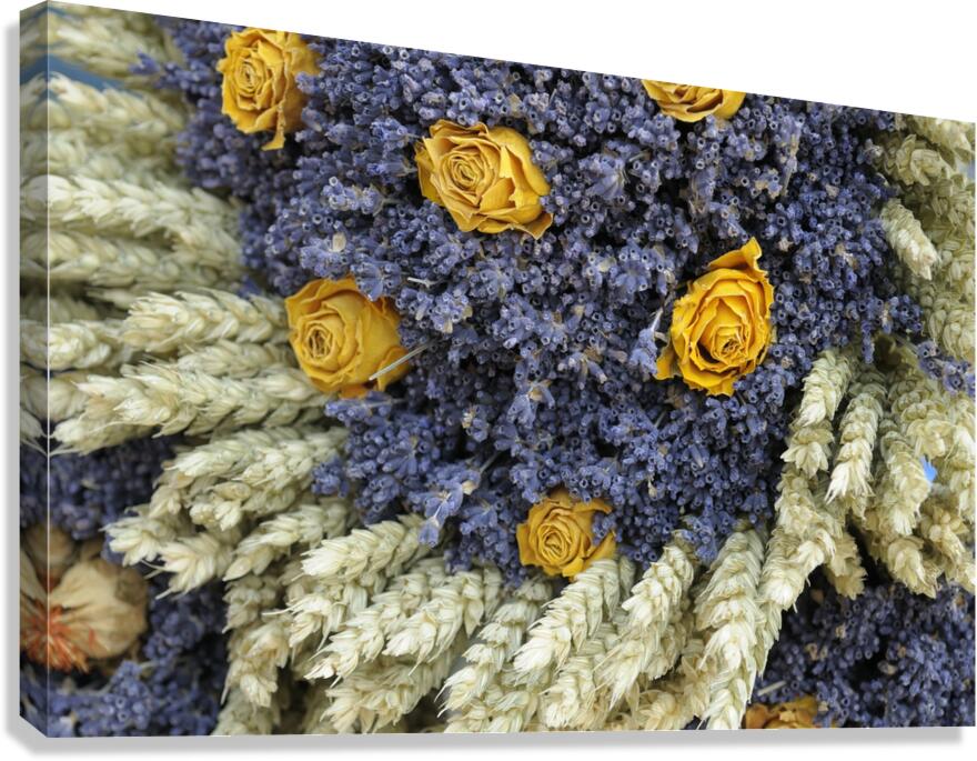 Dried yellow roses and lavender - Lourmarin Canvas Print