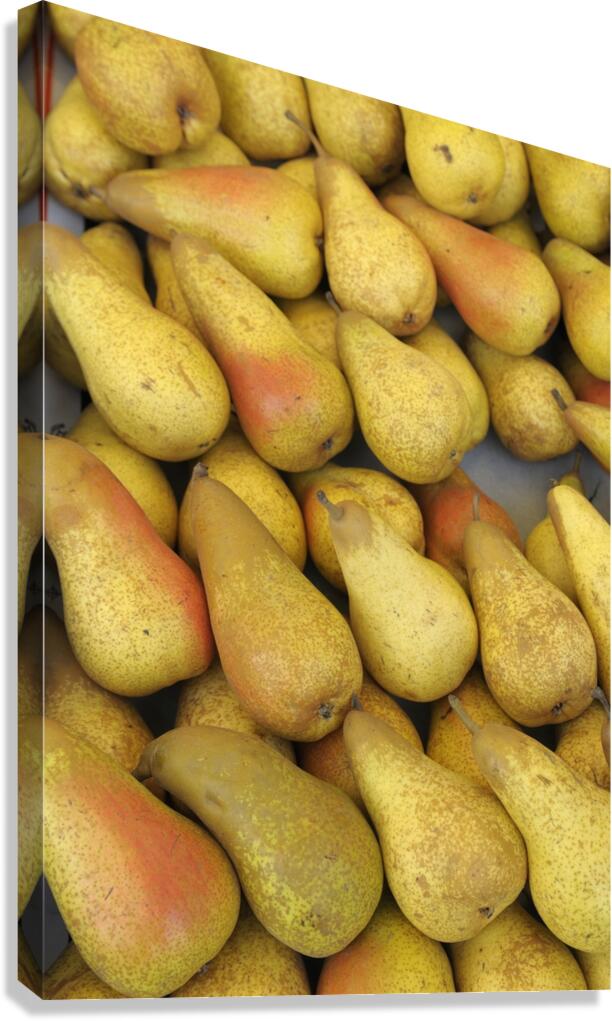 Pears at the Thursday Market - Boulevard Saint Germain - Paris Canvas Print