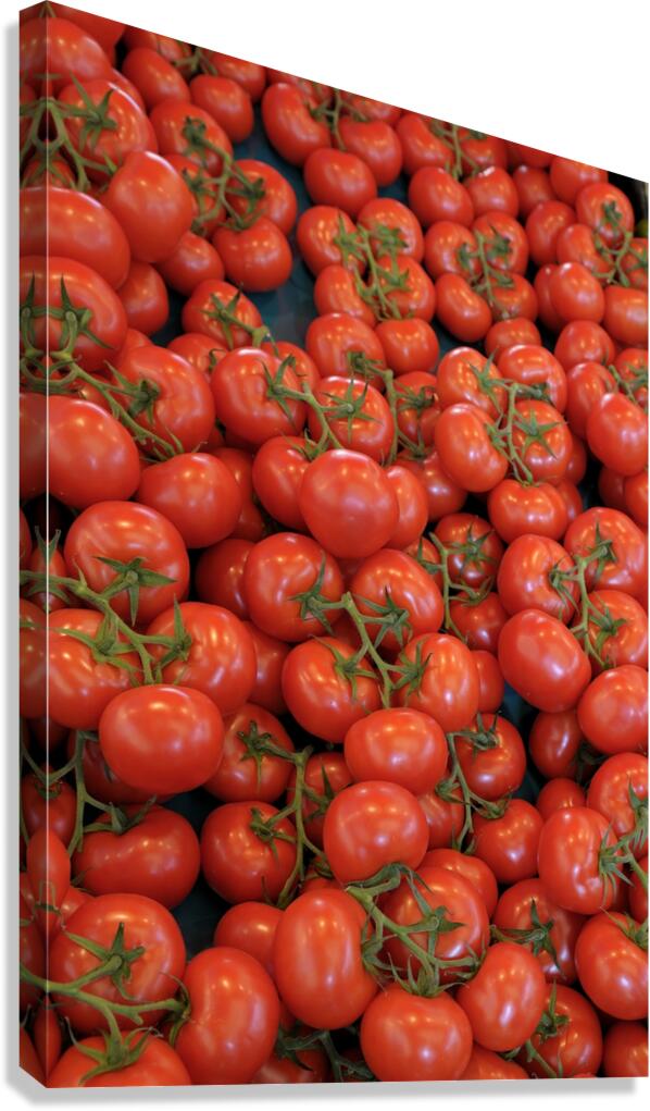 Tomatos at the Thursday Market - Boulevard Saint Germain Canvas Print