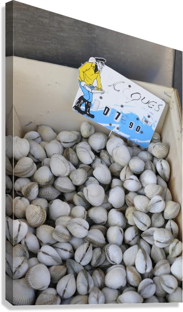 Clams at the Thursday Market - Boulevard Saint Germain -  Paris Canvas Print