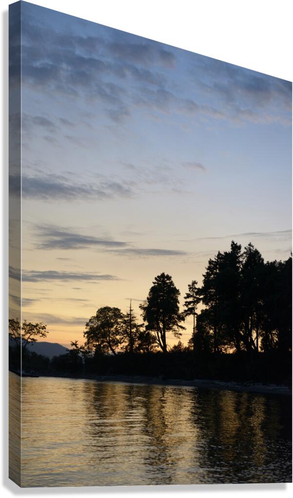 Silhouetted trees at sunset Canvas Print