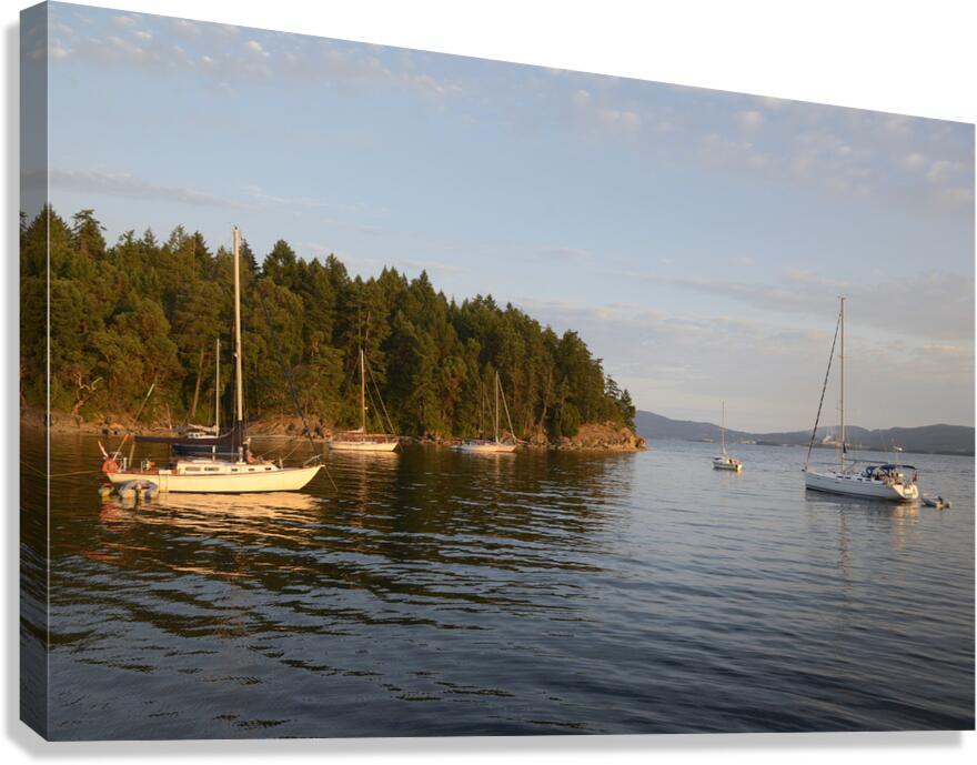 Sailboats at anchor on the west side of Tent Island Canvas Print