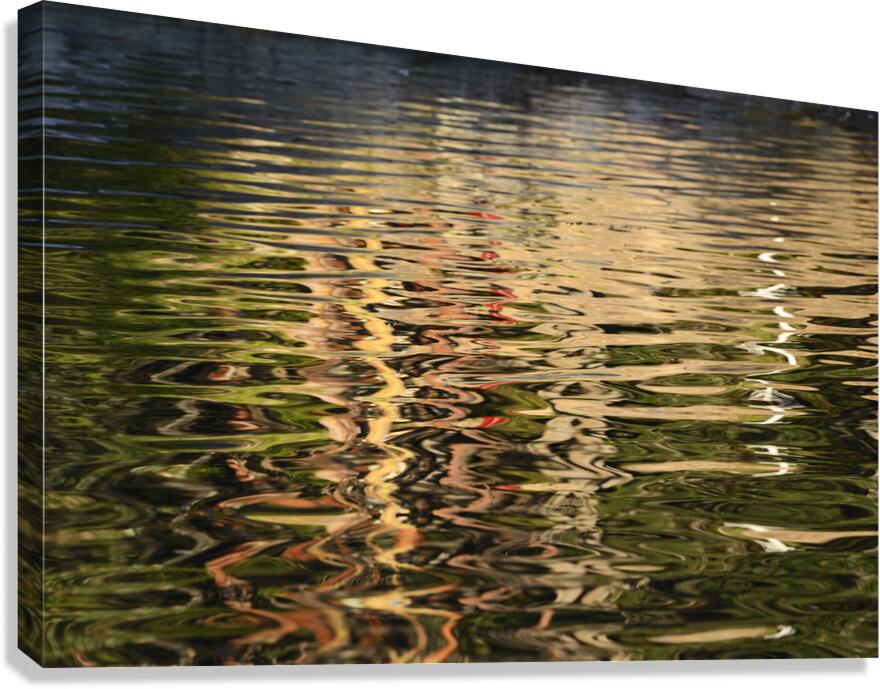 Trees reflected in the ocean Canvas Print