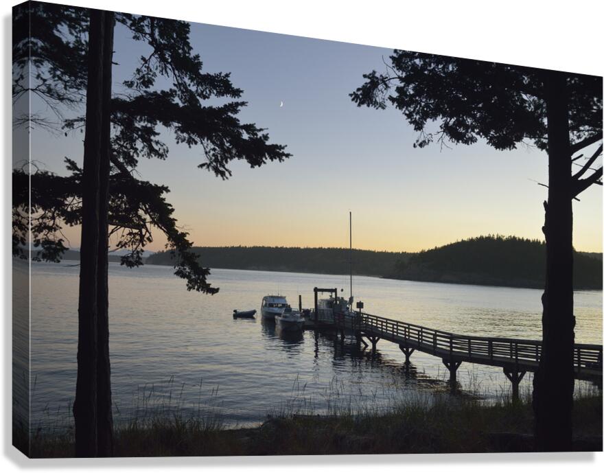 James Island - San Juan Islands Canvas Print