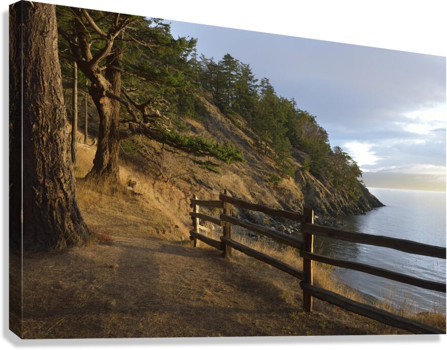 Wood fencing along the cliffs at East Cove Canvas Print