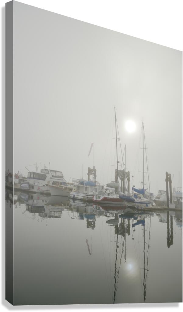 Fog in the harbour - San Juan Island Canvas Print