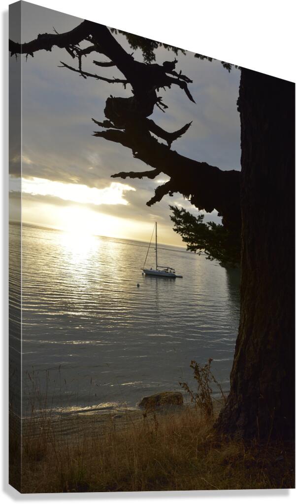 Calm sunset - James Island - San Juan Islands Canvas Print