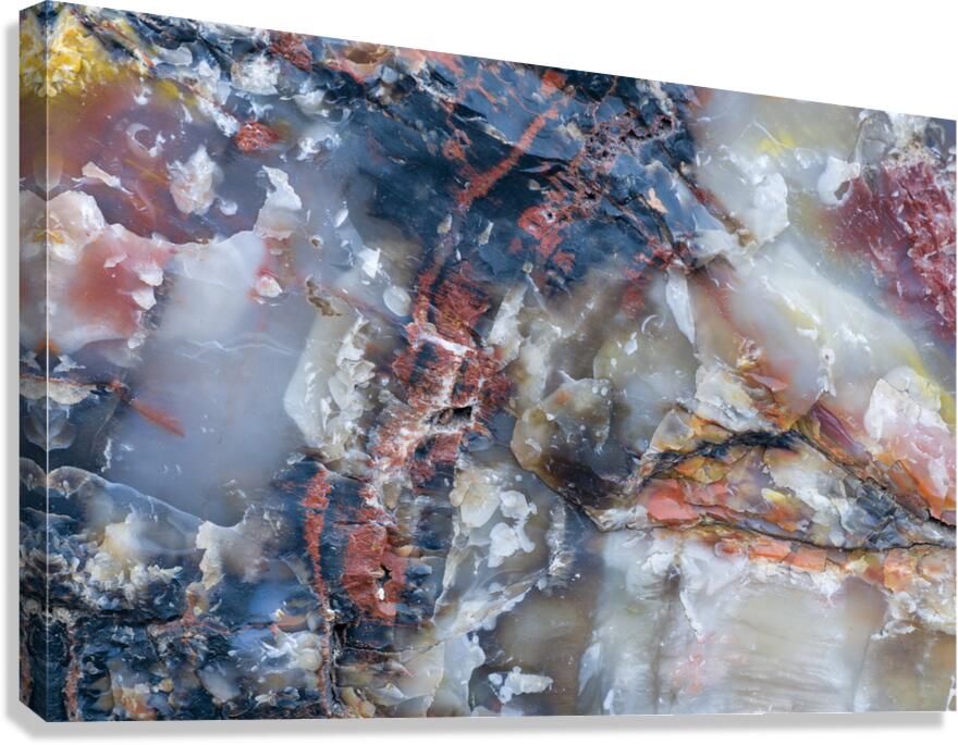 KO A98186 Canvas Print